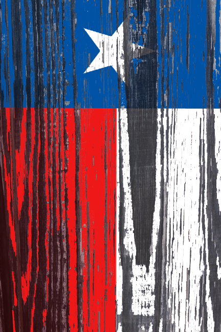 A Different Take On A Texas Flag ©2013 Suzanne Birrell