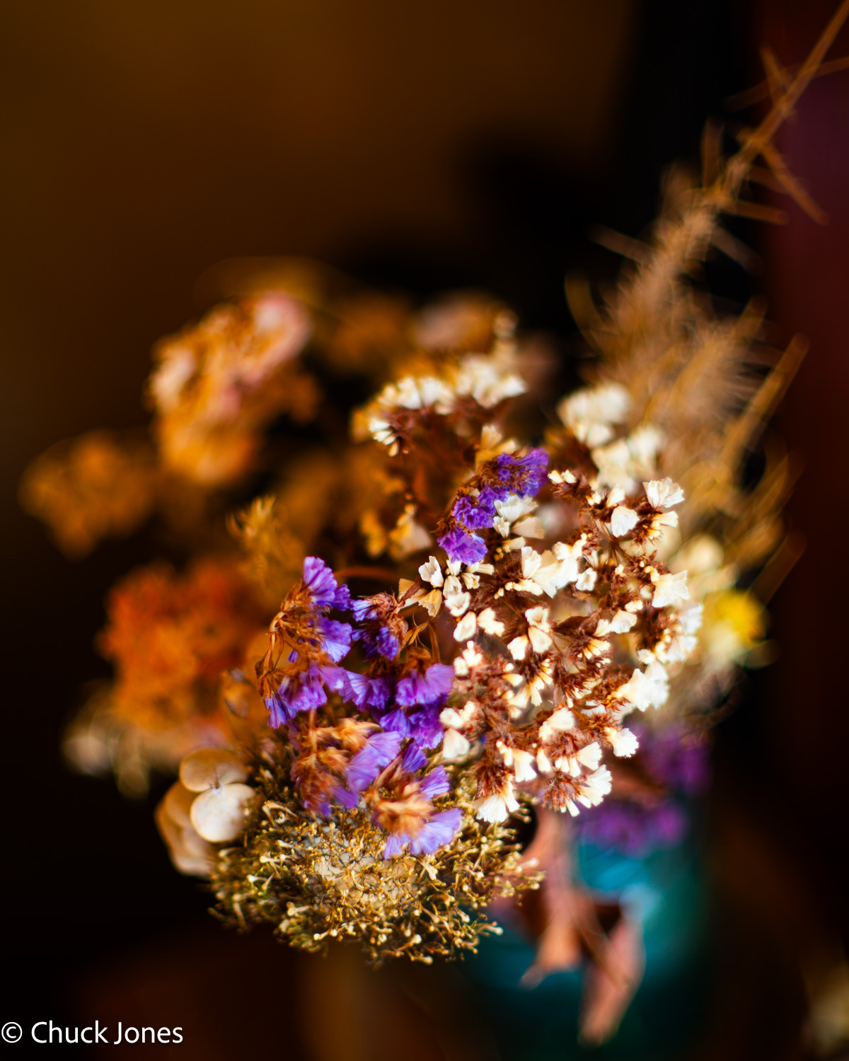Dried flower arrangement shot wide open at f/1.2 with Canon FL 55mm on Sony A7RV