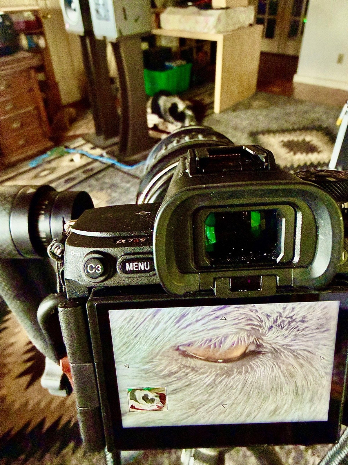 Behind the scenes - the Sony A7RV LCD showing the eye detail, with the subject visible in the background