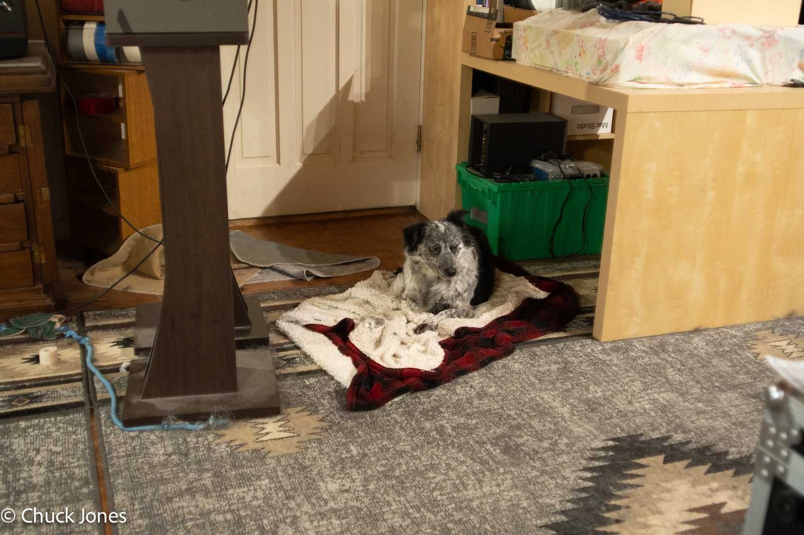 Schneider-Kreuznach 50mm f/4 - wider context showing the full studio environment