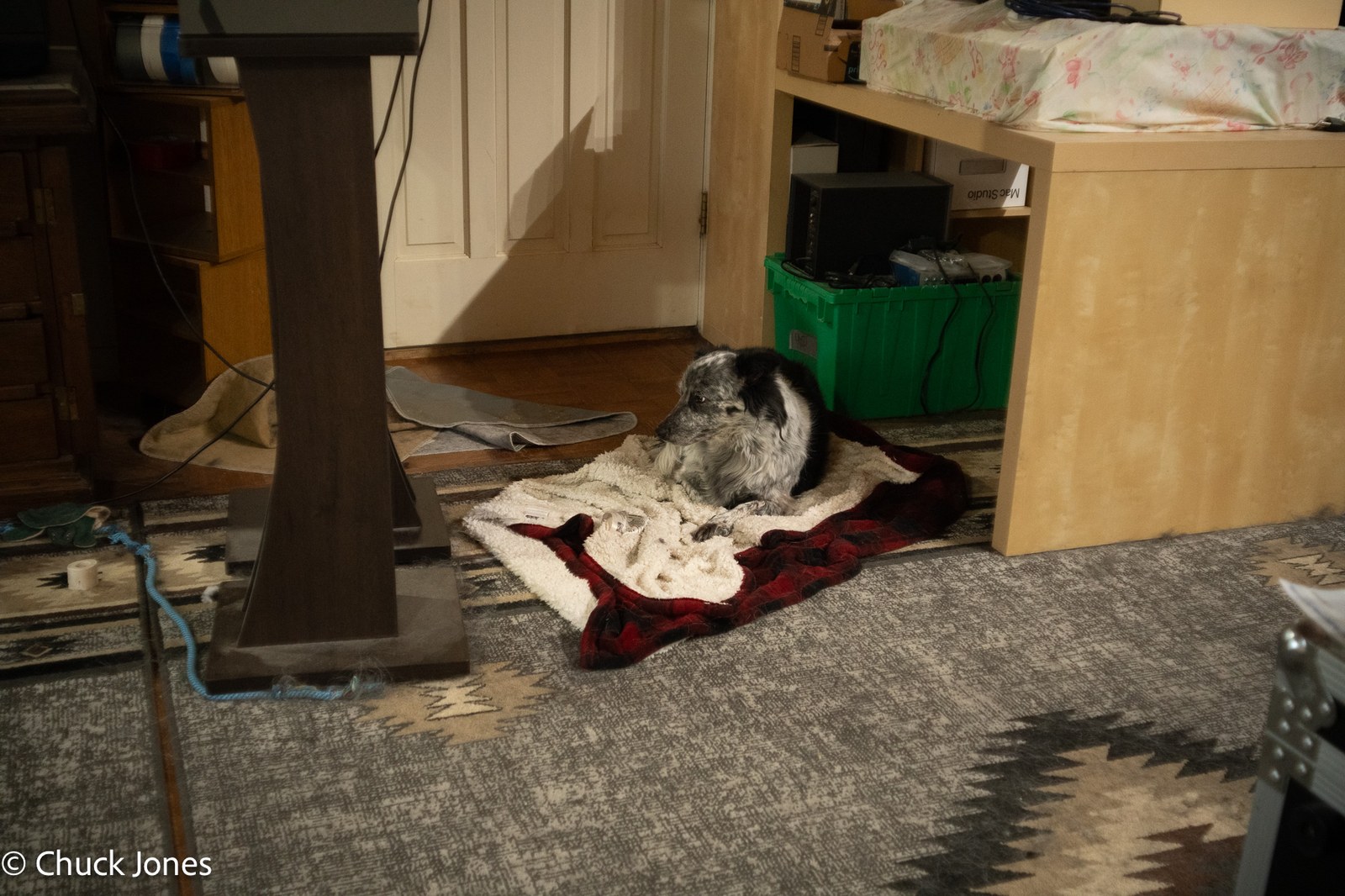 Schneider-Kreuznach 50mm f/4 - the subject looks away