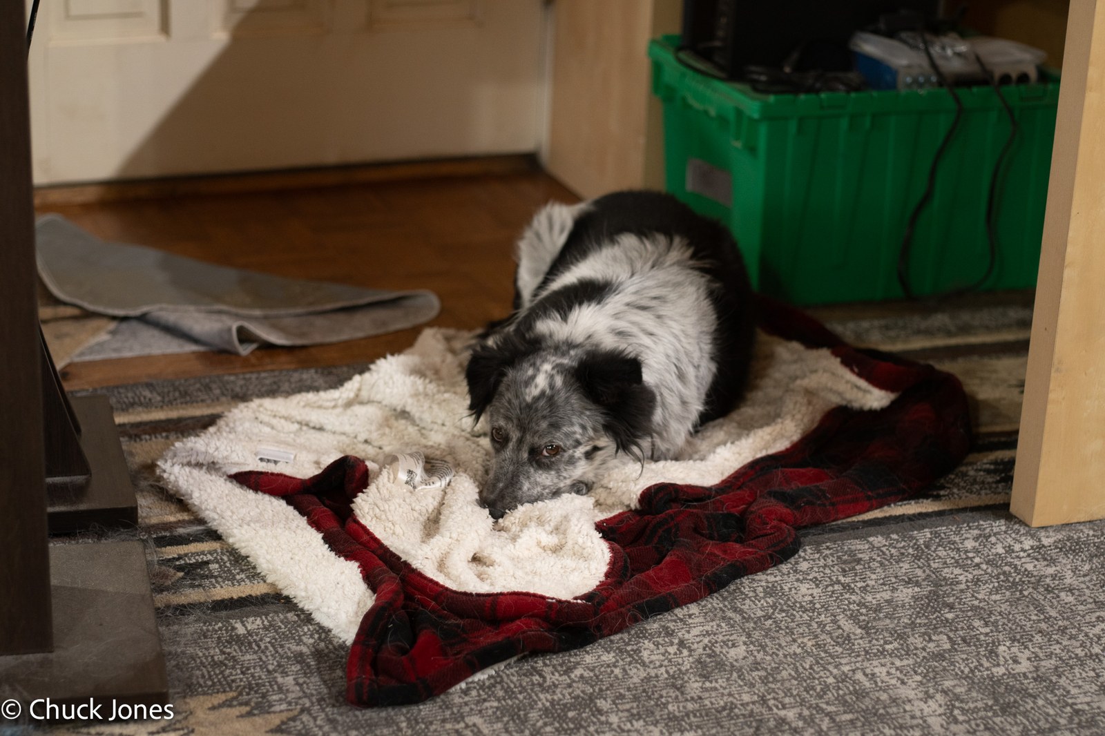 Schneider-Kreuznach 80mm f/2.8 wide open - the full scene from across the room