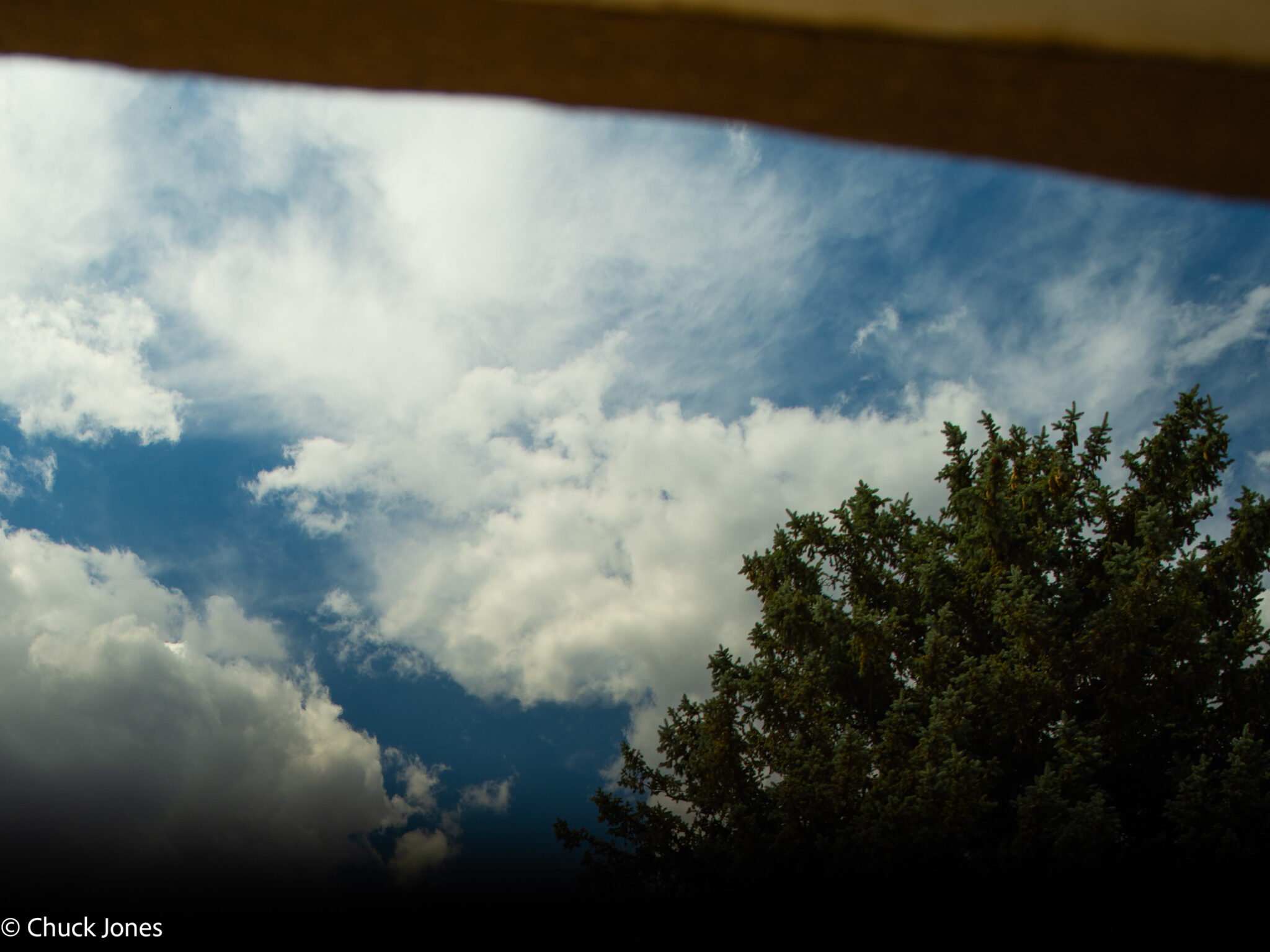 Source frame DSCF8362 - landscape orientation, upper shift, image circle vignetting visible